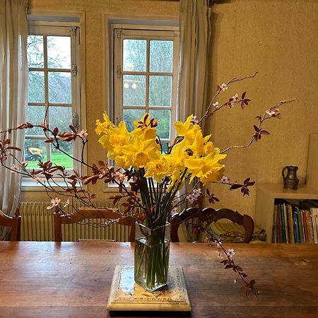 Les Hortensias Manerbe Exteriér fotografie