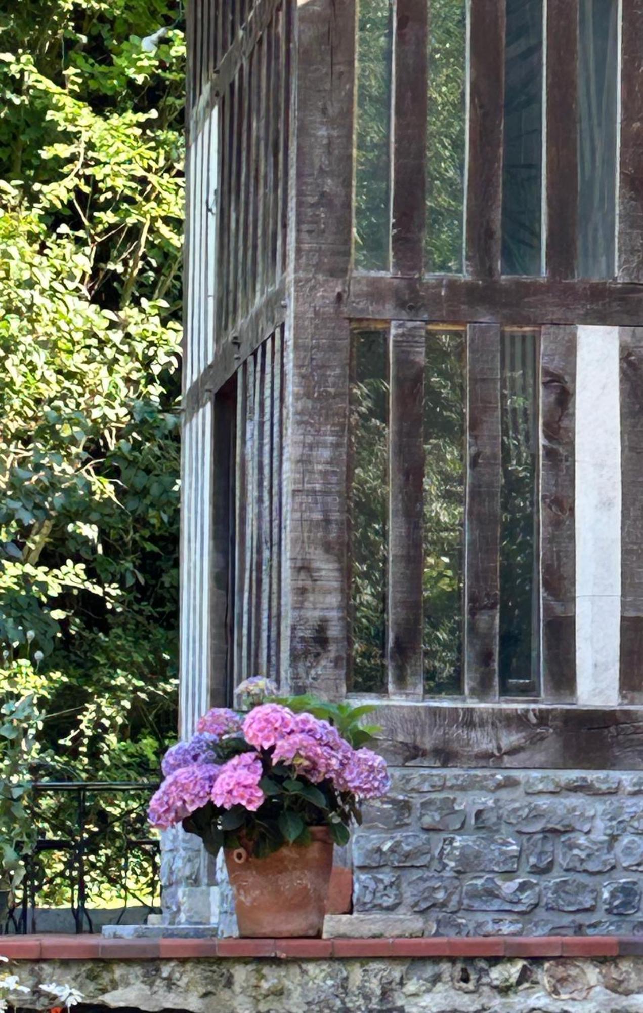 Les Hortensias Manerbe Exteriér fotografie
